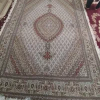 تک ۹متری ۶ لا نخ میرینوس|فرش|ارومیه, |دیوار