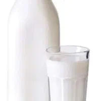 شیر تازه گاو