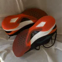 کفش سالنی برند لی نینگ|کیف، کفش، کمربند|مشهد, سجاد شهر|دیوار