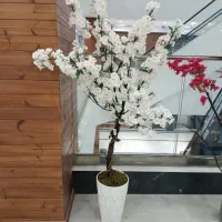 درخچه های اقساطی بدون پیش پرداخت|صنایع دستی و سایر لوازم تزئینی|سهند, |دیوار