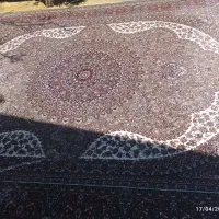 فرش 12متری دستباف گونه رنگ گردویی 700شانه