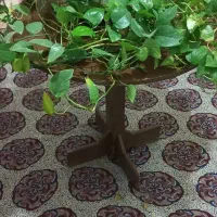 میز با گلدان