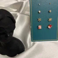 پک اقتصادی گوشواره برند|بدلیجات|کرج, فاز ۳ مهرشهر|دیوار