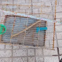 قفس پرنده
