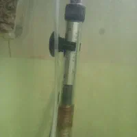 آکواریوم همراه ماهی|ماهی|تهران, حکیمیه|دیوار