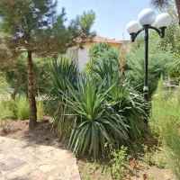 باغ ویلا|فروش خانه و ویلا|گلمکان, |دیوار