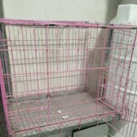 قفس حیوانات