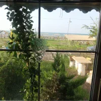 کلبه ساحلی تلار 1|اجارهٔ کوتاه‌مدت ویلا و باغ|خشکبیجار, |دیوار