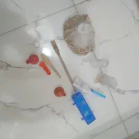 وسایل قناری