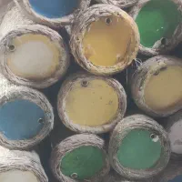 سبدزنبور