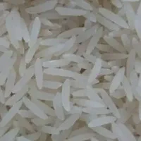 برنج فجر سوزنی 90روزه