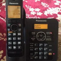 پاناسونیک۳۸۲۱