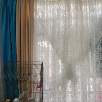 مبل مکعبی فرش پرده|مبلمان خانگی و میز عسلی|گلبهار, نوبهار|دیوار