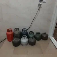 ۶عدد پیک نیک متوسط درحد ۳عدد بزرگ