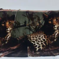 پارچه تابلو دکوری