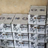 پخش عمده بلبرینگ IBTICO تبریز زیر قیمت بازار|قطعات یدکی و لوازم جانبی|تهران, بهارستان|دیوار