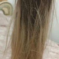 کلاه گیس و...
