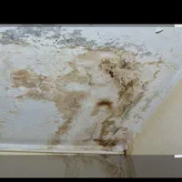 ایزگام لکه گیری خرده کاریحتی 1سانت بازدید رایگان|خدمات پیشه و مهارت|قم, شاد قلی|دیوار