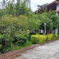 زمین-400-متری-امامرود-کریم-آباد-بر-اصلی-داخل-بافت