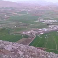 فروش زمین کشاورزی