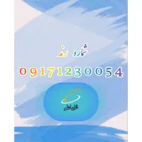 فروش سیم‌کارت رند دائمی همراه اول 09171230054|سیم‌کارت|شیراز, احمدآباد|دیوار