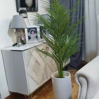 درختچه های کنار سالنی|گل مصنوعی|کرج, گلدشت|دیوار