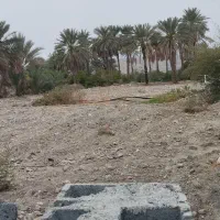 فروش زمین باغی|فروش زمین و ملک کلنگی|رودان, |دیوار