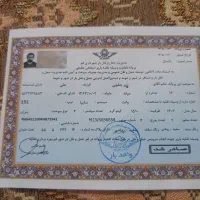 باربری امیران  با نیروهای کار بلد ثبت در 118 مطمئن