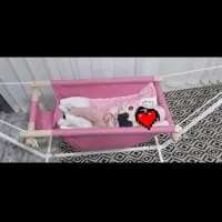 گهواره