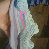 کفش اسپورت دخترانه ، زنانه ، پسرانه|کیف، کفش، کمربند|صدرا-فارس, فاز ۱|دیوار