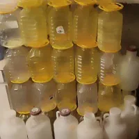 پت درفرمانی و دبه خیارشور