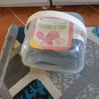 سرویس مسافرتی