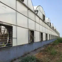 خرید و فروش گلخانه|خدمات پیشه و مهارت|شهرضا, |دیوار