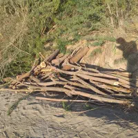 کارگر چوب بر نیازمندم|استخدام صنعتی، فنی، مهندسی|جاسک, |دیوار