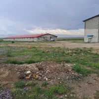 فروش یک واحد مرغداری ۷۰۰۰متر بادستگاههای اتوماتیک