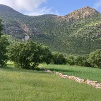 زمین-به-متراژ-150متر-واقع-در-پاونار-10-amp-times-15