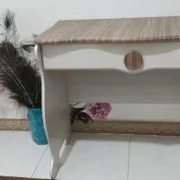 سرویس خواب کودک و نوجوان|تخت و سرویس خواب|فردیس, فردیس|دیوار