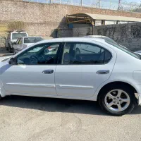 ماکسیما استثنایی درجه یک|خودرو سواری و وانت|پرند, فاز ۱|دیوار