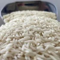 برنج اعلا درجه ۱ گیلان