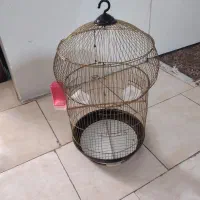 قفس پرنده رنگ طلایی عروس هلندی و سایر پرندگان