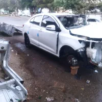 شاهین تصادفی