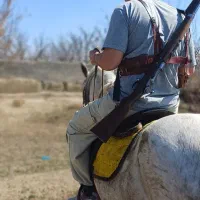 اسب مادیان 6سال سالم سرحال وکره نریان ۲ساله|اسب و تجهیزات اسبسواری|سلماس, |دیوار