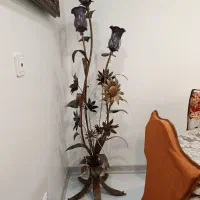 اباژور کنار سالنی