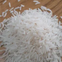 برنج فجر سوزنی ۹۰ روزه درجه ۱