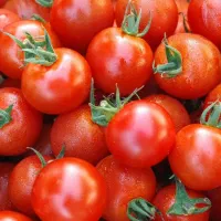 آبگیری گوجه ،انگور ،لیمو