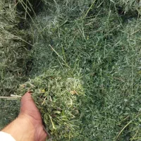 یونجه چین چهار|عمده‌فروشی|بروجرد, |دیوار