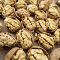 گردوی اصل تویسرکان(باضمانت مرجوعی)|خوردنی و آشامیدنی|تهران, جردن|دیوار