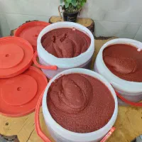 رب خانگی درجه یک