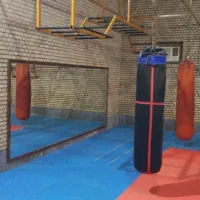 جام آینه مناسب باشگاه|آینه|قشم, |دیوار