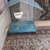 قفس فلزی کلبه ای